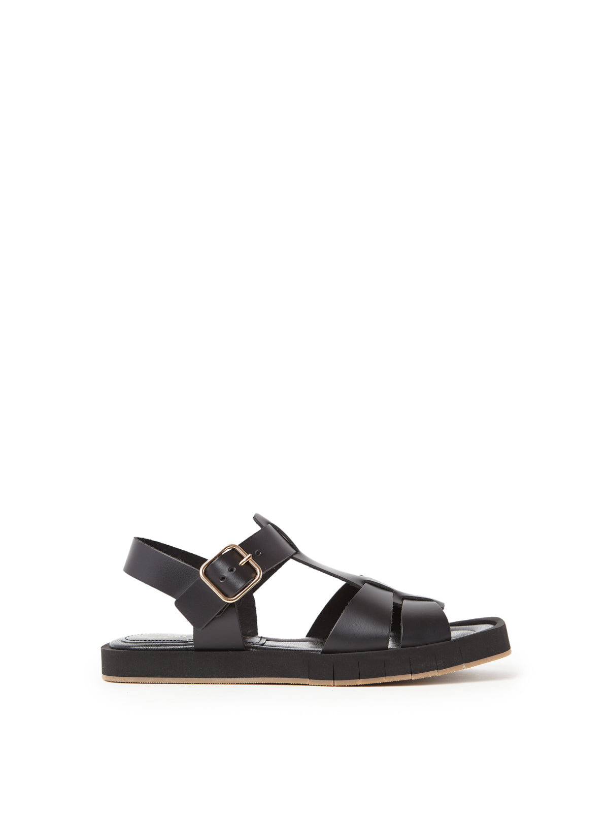 DAISY CALIDIS BLACK